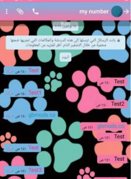 GBWhatsApp Custom Themes and Personalization